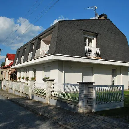 Petr Plzeň